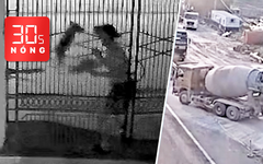 Bản tin 30s Nóng: Ba người bị chó cắn khi tập thể dục; Xử phạt đơn vị thi công mở rộng cao tốc