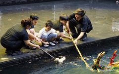 Rạp xiếc nghìn tỉ tại TP.HCM lần đầu đón khách tham quan với loạt trải nghiệm độc đáo