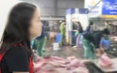 Lời khai của người cầm đầu đường dây giết mổ, tiêu thụ 300 tấn thịt heo bệnh