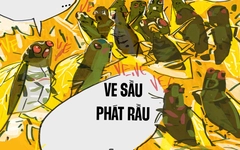 Ve sầu phát rầu vì mùa hè không... inverter