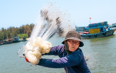 Công bố học sinh đoạt giải hội thi ảnh Tuổi Xanh 2026