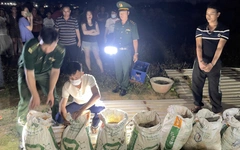 Phát hiện gần 400kg thuốc nổ cất giấu quanh một quán ăn tại Quảng Ngãi