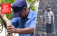 Bản tin 30s Nóng: Thả rắn 3m bắt tại bệnh viện về rừng; Xả súng ở kim tự tháp