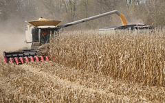 Bộ Nông nghiệp Mỹ tính tăng xuất khẩu ngô sang Việt Nam phục vụ sản xuất xăng E10