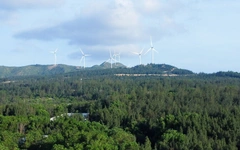 Gia Lai chuyển hơn 52ha rừng làm đường kết nối cao tốc