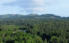 Gia Lai chuyển hơn 52ha rừng làm đường kết nối cao tốc