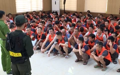 Khởi tố 196 người trong đường dây chọi gà xuyên quốc gia, số tiền giao dịch trên 1.200 tỉ