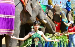 'Dấu chân voi hạnh phúc' và cách khai thác du lịch không cưỡi voi