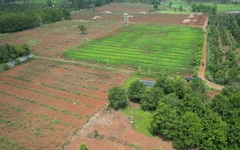 Đất giao làm dự án, hạn đầu tư đã hết mà vẫn chưa triển khai