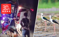 Bản tin 30s Nóng: Lật xe khách, nhiều người thoát nạn; Mùa kết đôi của 'mỹ nữ chân dài'