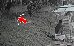 Cần thủ rơi xuống hồ vì bị... 'Lamborghini' dí