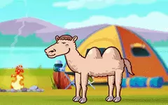 Lạc đà đi lạc trên Đà Lạt