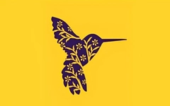 Quiz: Bạn là người điềm tĩnh hay chân thành?