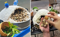 Trứng cút ủ muối trong 'hang ếch' thành trend