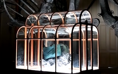 Túi 'da khủng long' sắp đấu giá, giá khởi điểm có thể vượt 500.000 USD