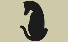 Quiz: Bạn tự tin, kiên trì và sẵn sàng đối diện với thử thách?