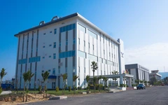 Gia Lai kiến nghị giữ lại vốn nhà nước tại Bidifar, phát triển thành thương hiệu quốc gia