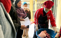 Thịt lợn trong bữa ăn bán trú nhiễm tả châu Phi, hiệu trưởng bị đình chỉ 14 ngày