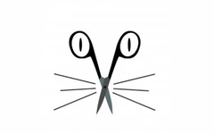 Quiz: Bạn đang trải qua khoảng thời gian hạnh phúc trong tình yêu?