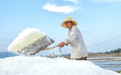 Diêm dân 'cõng nắng' mưu sinh trên cánh đồng muối cuối cùng dưới chân đèo Ngang