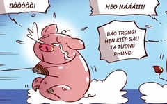 Heo bò hẹn kiếp sau không ngờ gặp lại ngay trong kiếp này