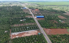 Cả chục kho sầu riêng xây mới tại một xã ở Đắk Lắk đều không phép