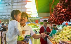 Đủ sắc màu, hương vị tại lễ hội trái cây Nam Bộ ở Suối Tiên