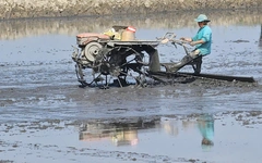 Cần Thơ đề xuất hỗ trợ doanh nghiệp đầu tư vào nông nghiệp, nông thôn
