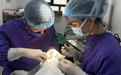 Quả cầu lông đập trúng mắt gây giập nhãn cầu, nguy cơ mất thị lực