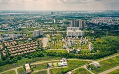 Bộ Chính trị: Sửa đổi căn cơ chính sách đất đai, trình Hội nghị Trung ương 3 xem xét, cho ý kiến