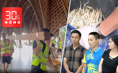 Bản tin 30s nóng: 'Xóa sổ’ vườn hoa The Peak ở Phú Quốc; Bắt nhóm dùng ‘nước kẹo’ ủ giá đỗ