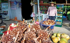 Những món ăn vặt siêu ngon làm từ dừa nước