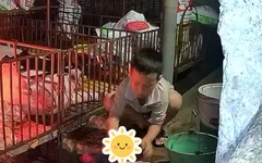 Cậu bé 9 tuổi gây sốt với 'job hè' đặc biệt