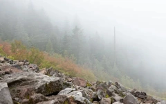 Phát hiện cả một 'thế giới sống' bên trong sương mù