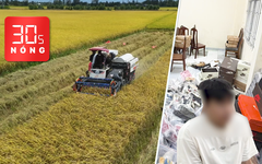 Bản tin 30s Nóng: Loại gạo giá 112.000 đồng/kg ở miền Tây; Thêm một người bán hàng giả bị khởi tố