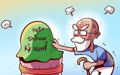 Cụ già hưu trí ăn nhầm quả 'đào lửa'