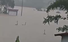 Có thật 'quái vật hồ Loch Ness' xuất hiện trong lũ ở Trung Quốc?
