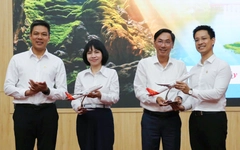 Mở đường bay Đồng Hới - Hà Nội và Đồng Hới - Cam Ranh từ 16-8