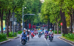Chuyện nuôi nấng sinh viên của thành phố này