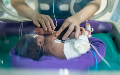 Úc phát triển nhau thai nhân tạo, mở ra hy vọng mới cho trẻ sinh non