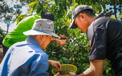 Mời bạn đọc tham gia hội thảo ‘Nâng chất Robusta Việt từ gốc’