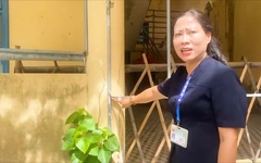 Hiệu trưởng lên tiếng về clip trường xuống cấp khiến phụ huynh lo lắng