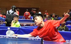 660 tay vợt tranh tài tại Giải vô địch bóng bàn trẻ, thiếu niên, nhi đồng quốc gia 2026