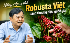 Nâng cấp vị thế cà phê Robusta Việt Nam bằng thương hiệu quốc gia