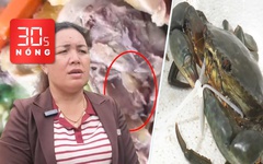 Bản tin 30s Nóng: Thực hư thức ăn có dòi ở bữa tiệc tân gia; Cua Cà Mau đã bớt ‘khổ sai’