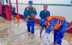 Tàu cá gắn biển số giả, chở khoảng 50 tấn thủy sản trái phép