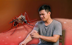 Không phải 'thịt thơm' hay máu O, đây mới là nguyên nhân muỗi 'chọn' bạn để đốt