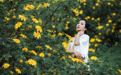 Mê đắm trước khung cảnh hoa dã quỳ nhuộm vàng núi lửa Chư Đăng Ya