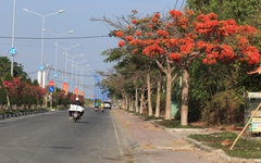 Trải nghiệm du lịch xanh 2 ngày 1 đêm giá sinh viên ở Cần Giờ