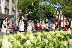 Đang xếp hàng có người chen lên trước, 'cho tôi làm trước một chút, tôi đang vội', bạn nhường không?